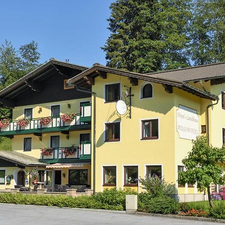 Hotel Landhaus Ausswinkl Russbach am Pass Gschütt Buitenkant foto